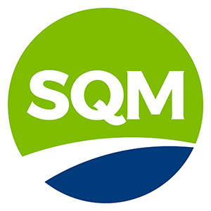 Logo sqm border